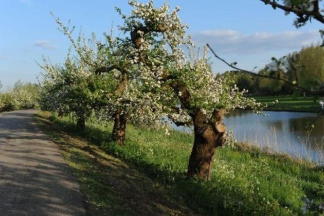 Bed & Breakfast De Neust Beesd Exterior foto